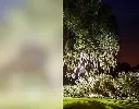71w0B3kJq6L._SX679_.webp